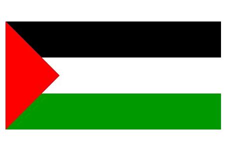 巴勒斯坦（加沙）